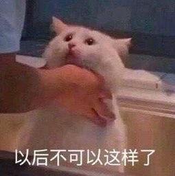 朝阳吃瓜群众一枚,揭秘京城街头热辣话题